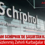 Amsterdam Schiphol’de Şaşırtan Kaçakçılık: Tuvalette Gizlenmiş Zehirli Kurbağalar Ele Geçirildi