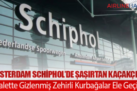 Amsterdam Schiphol’de Şaşırtan Kaçakçılık: Tuvalette Gizlenmiş Zehirli Kurbağalar Ele Geçirildi