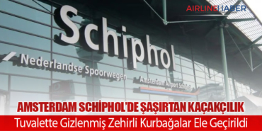 Amsterdam Schiphol’de Şaşırtan Kaçakçılık: Tuvalette Gizlenmiş Zehirli Kurbağalar Ele Geçirildi