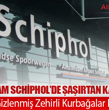 Amsterdam Schiphol’de Şaşırtan Kaçakçılık: Tuvalette Gizlenmiş Zehirli Kurbağalar Ele Geçirildi