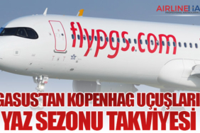 Pegasus