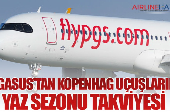 Pegasus