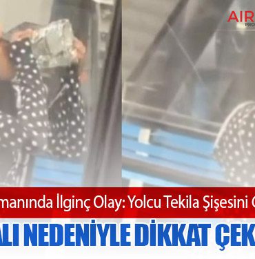 tekila