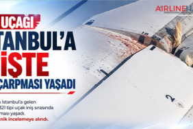THY Uçağı İstanbul'a İnişte Kuş Çarpması Yaşadı