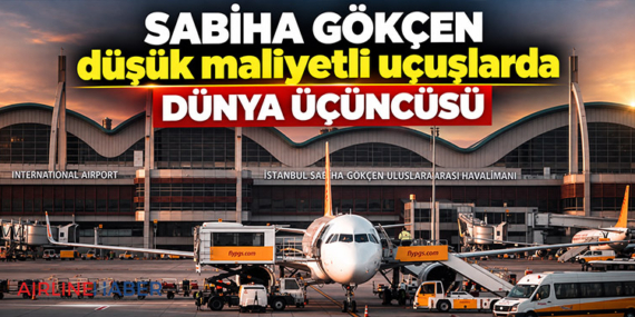 Uçakta kedi krizi! 1 Haberler kedi thumbnail