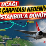 THY uçağı kuş çarpması nedeniyle İstanbul’a dönüyor