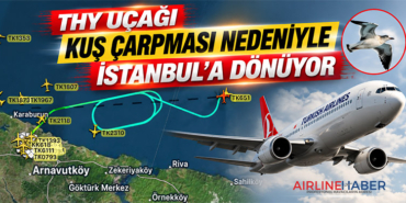 THY uçağı kuş çarpması nedeniyle İstanbul’a dönüyor
