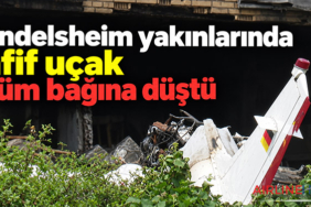 Gundelsheim yakınlarında hafif uçak üzüm bağına düştü
