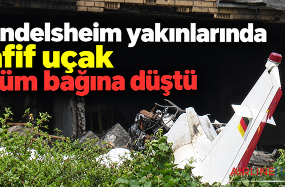 Gundelsheim yakınlarında hafif uçak üzüm bağına düştü
