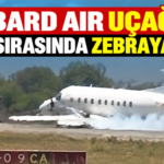 Sindbard Air uçağı kalkış sırasında zebraya çarptı
