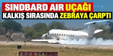 Sindbard Air uçağı kalkış sırasında zebraya çarptı