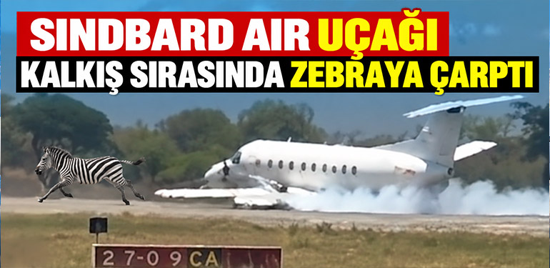 Sindbard Air uçağı kalkış sırasında zebraya çarptı